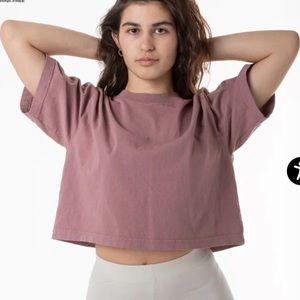 American apparel mauve crop t shirt